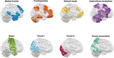 Using Minimal-Redundant and Maximal-Relevant Whole-Brain Functional Connectivity to Classify Bipolar Disorder